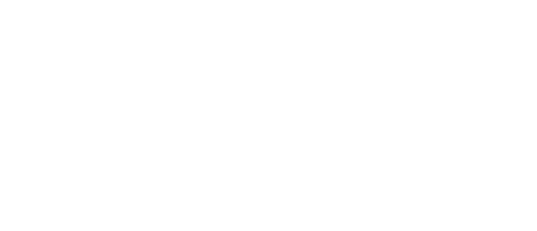 Pacific Life Logo